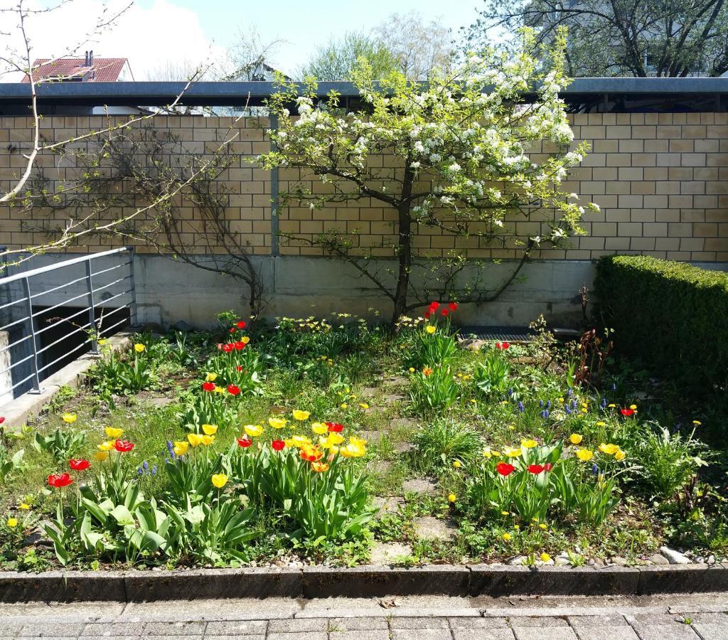 Like Home Ruti (St.Gallen) Exterior foto